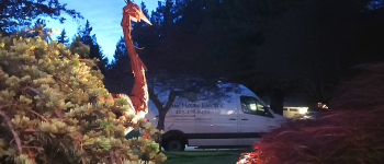 landscape lighting